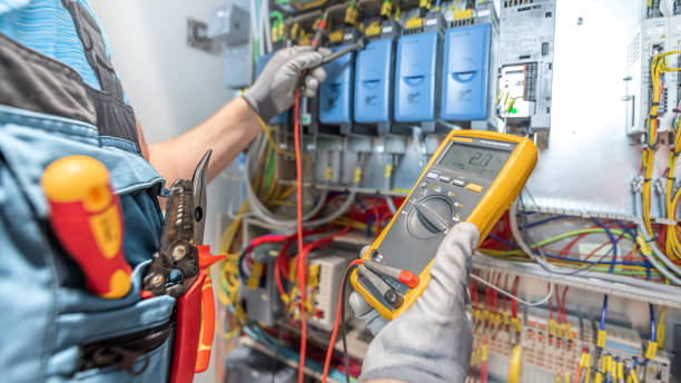 Best Electric Panel Repair  in Skyline View, PA